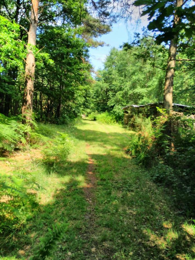 Bois De St Hilaire * Chalandray
