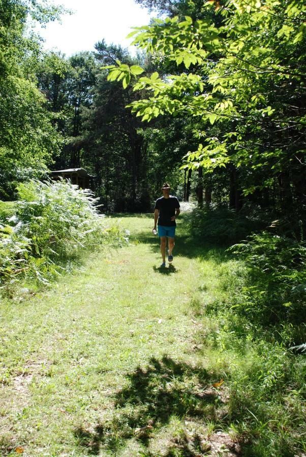 Bois De St Hilaire Chalandray